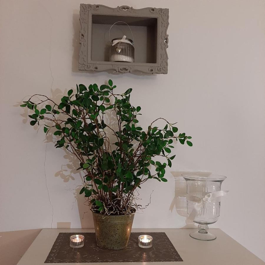 Apartment Lautus ماريبور المظهر الخارجي الصورة